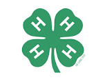 4-H Clover