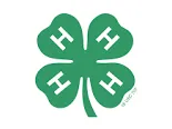 4-H Clover