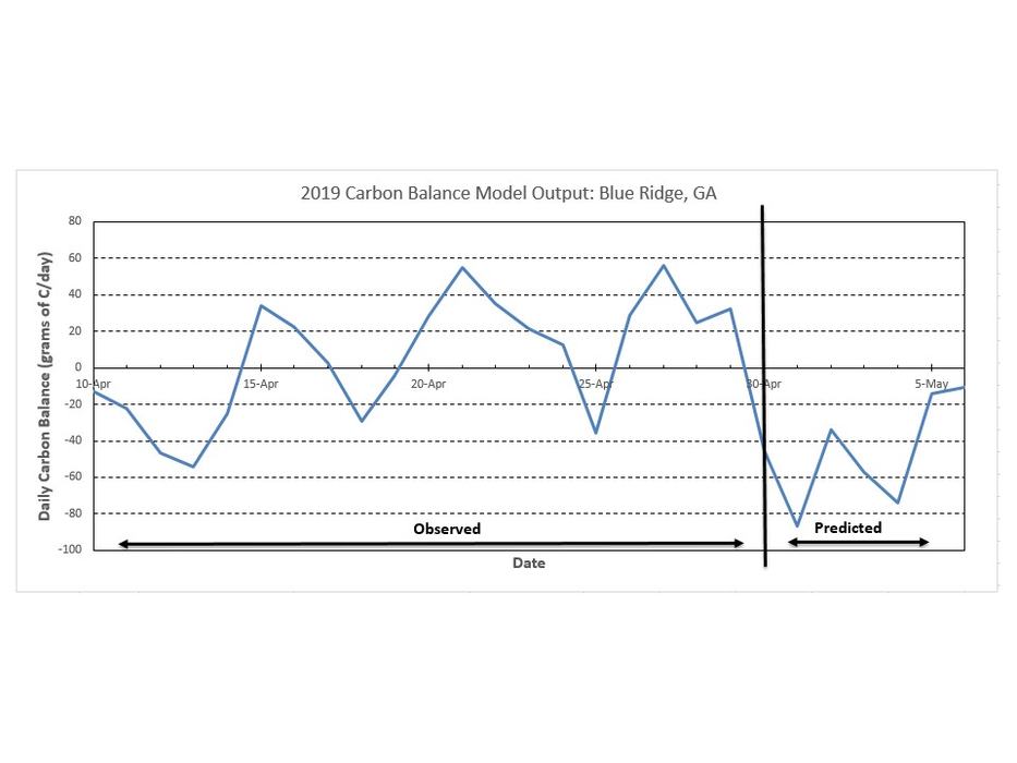 Blue Ridge Carbon Balance chart image