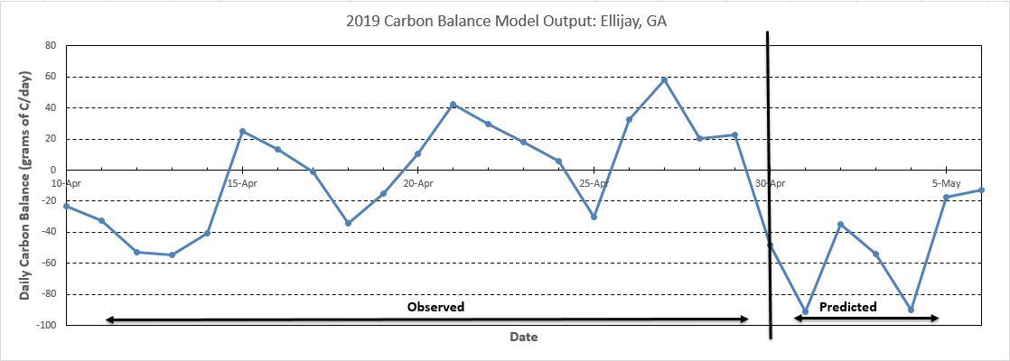 Ellijay Carbon Balance Model chart image