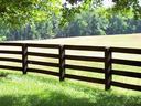 Dark wooden split-rail fence along sunlit grassy field with trees in background