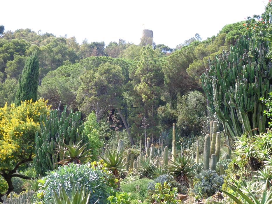 Botanical Garden, Blanes Spain