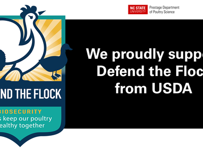 Defend the Flock support banner