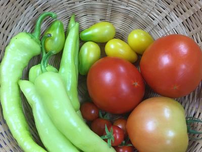 Vegetables