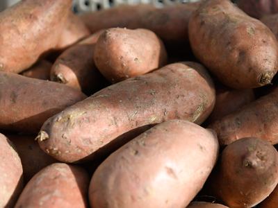 Raw sweet potatoes piled together