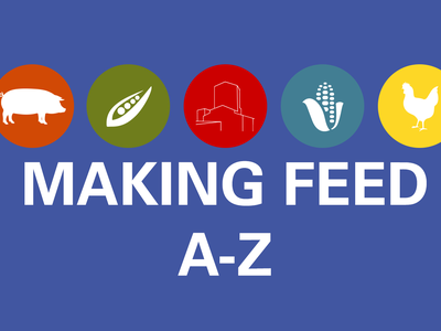 making feed graphic with white text and colored circles