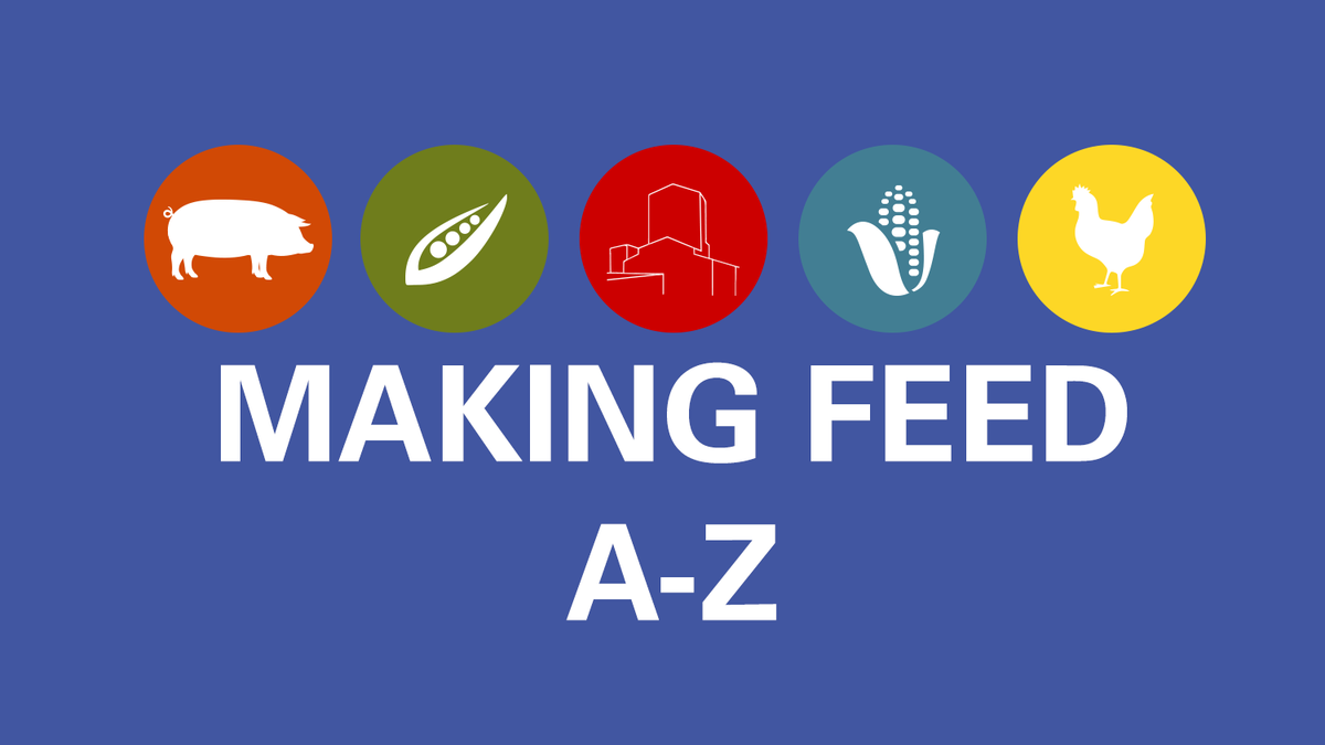 making feed graphic with white text and colored circles