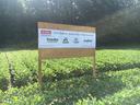 Research trial sign