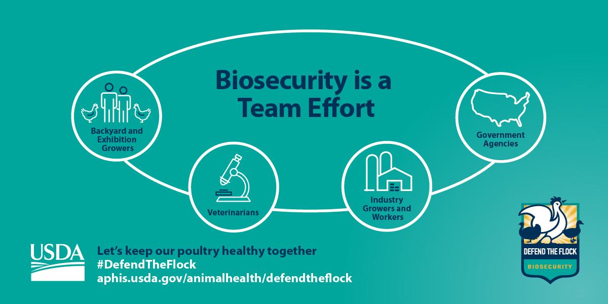 USDA Defend the Flock biosecurity graphic