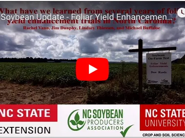 Soybean Update Video