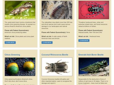 USDA APHIS List of Invasive Species