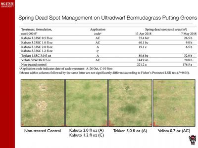 Spring Dead Spot Management