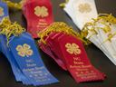 Avian bowl ribbons