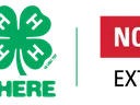 4-H logo image