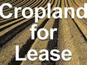 Plowed cropland with rows and overlaid text "Cropland for Lease"