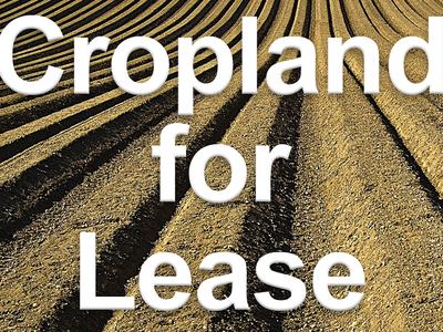Plowed cropland with rows and overlaid text "Cropland for Lease"