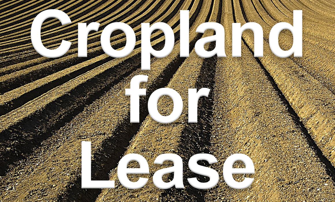 Cropland for Lease logo image