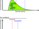 Insecticide uptake chart image