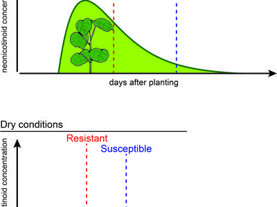 Insecticide uptake chart image