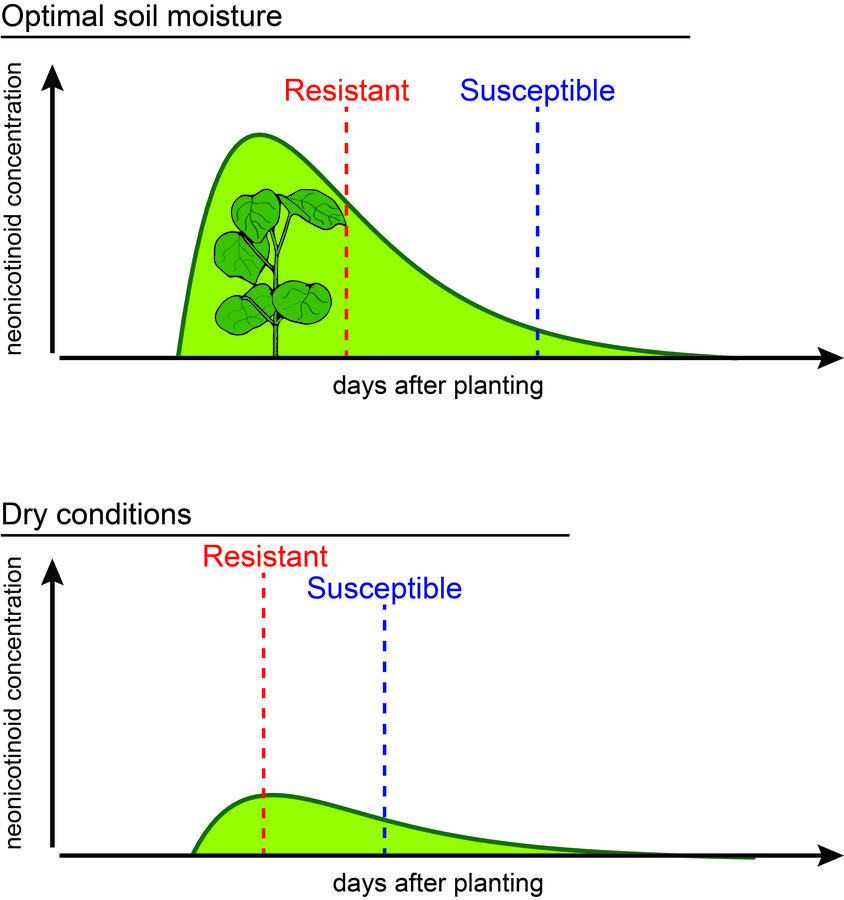 Insecticide uptake chart image