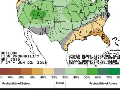 NOAA map: 8–14 day precipitation probability, 9 May 2019; valid May 27–Jun 02, 2019