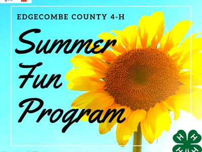Sunflower and text: Edgecombe County 4-H Summer Fun Program on blue background