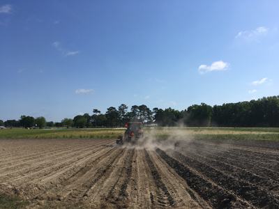 Image of a soybean field