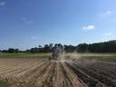 Image of a soybean field