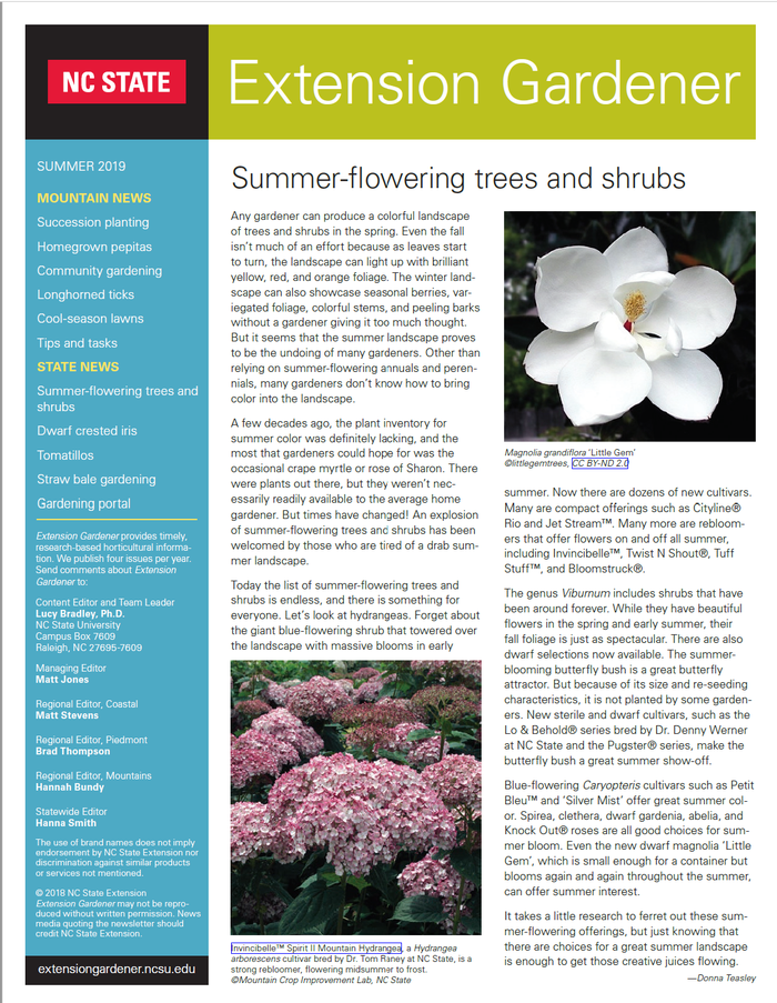Newsletter cover