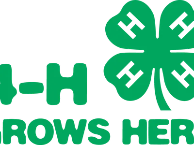 Green four-leaf clover with "4-H GROWS HERE" text and white H symbols in each leaf