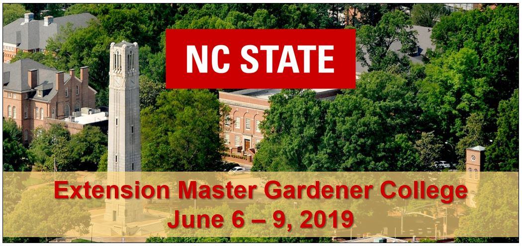 EMG College header image