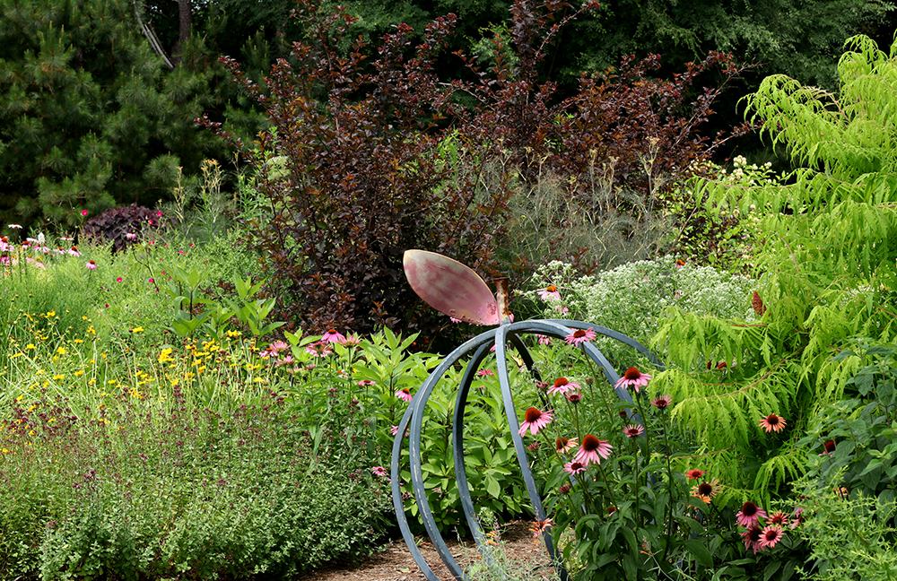 Early June in the pollinator garden. 