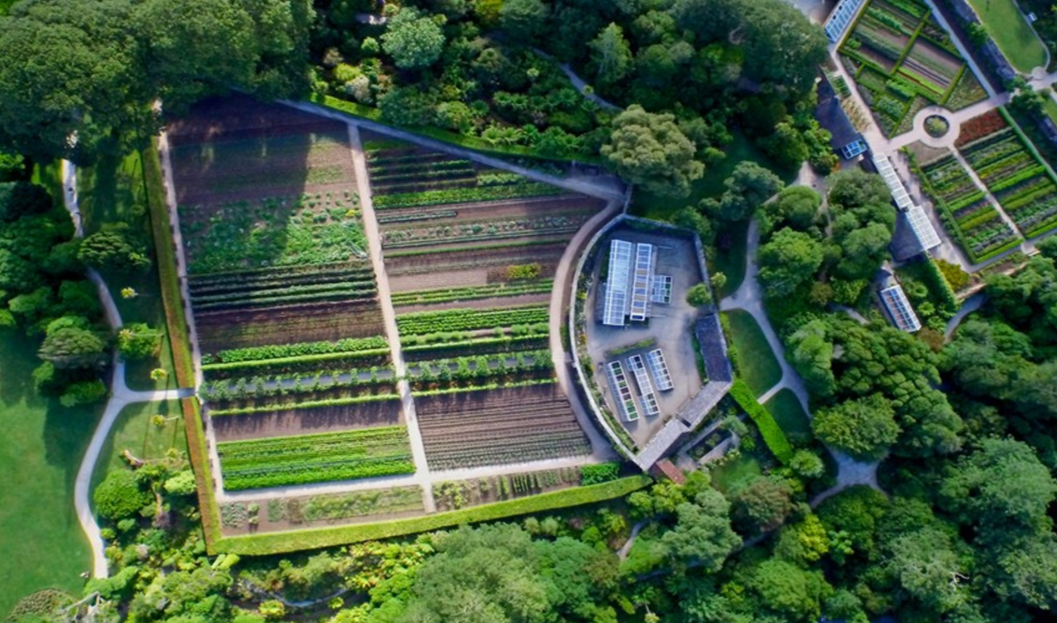 Lost Gardens of Heligan