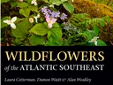 Wildflowers of the Atlantic Sutheast