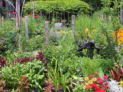 Backyard mixed flower and vegetable garden with fence and "Butterfly Crossing" sign