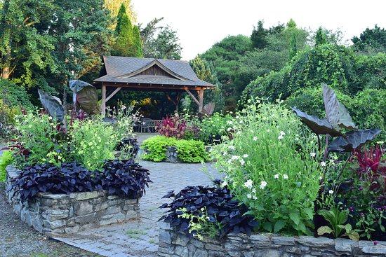 Bullington Gardens purple flowers