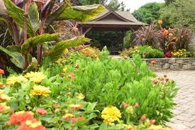 Bullington Gardens plant variety