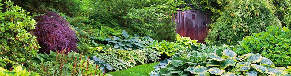 Landscape Contractor Headline