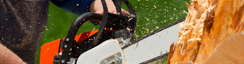 Chainsaw Safety