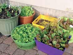 Anne Moyer CC BY-NC-ND - 2.0