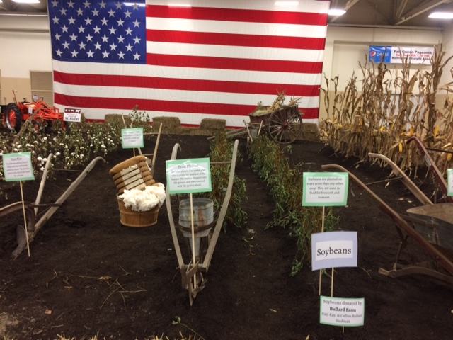 Row crops w/ American Flag