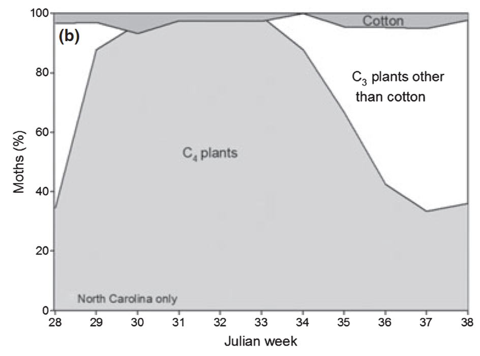 Bollworm moth chart