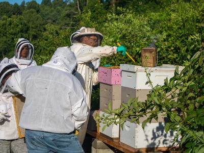 emPOWERing Grant Survey