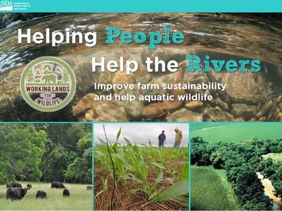 Working Lands for Wildlife flyer