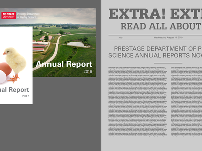 header image announcing annual reports online