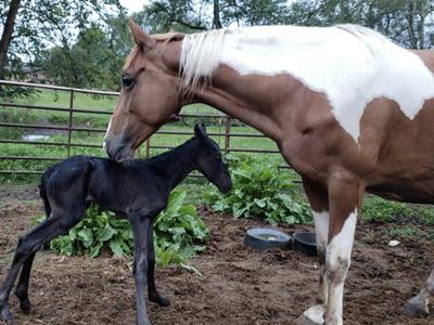 width="1024" height="730"