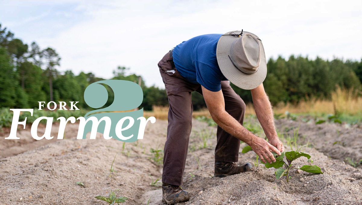 Image of farmer checking his crop, the thumbnail for the Fork-to-Farmer video.