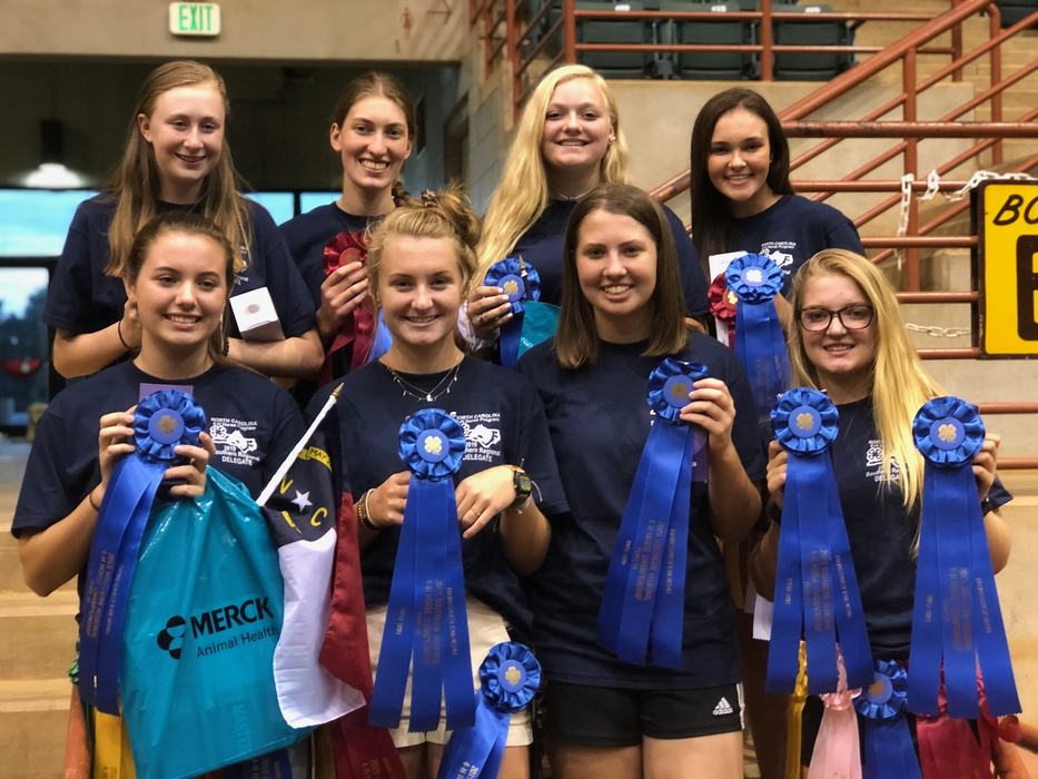 Horse Judging Teams