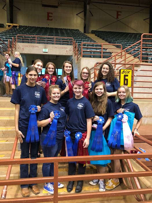 Horsebowl teams