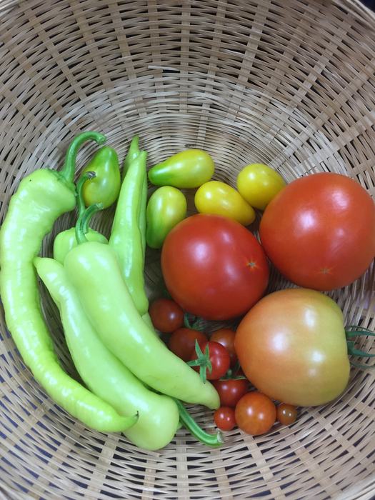 garden produce